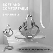 Reflective Breathable Pet Harness & Leash Set