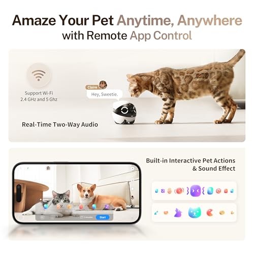 2K Mobile Pet Camera Robot