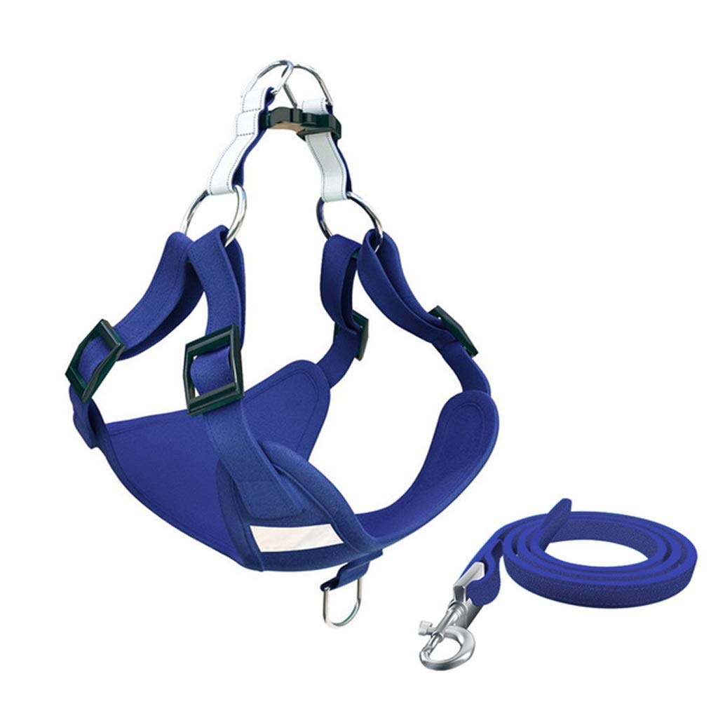 Reflective Breathable Pet Harness & Leash Set