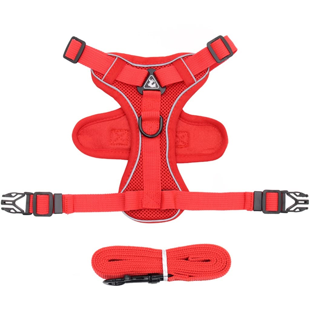 Adjustable Breathable Dog Harness & Leash Set