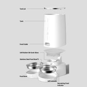 Smart Automatic Pet Food Dispenser