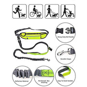 Hands-Free Reflective Bungee Dog Leash