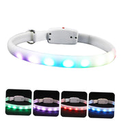 Rechargeable LED Dog Safety Collar