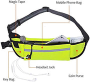 Hands-Free Reflective Bungee Dog Leash