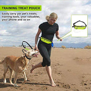 Hands-Free Reflective Bungee Dog Leash