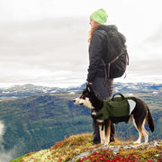 Outdoor Dog Backpack Harness with Saddle Bags