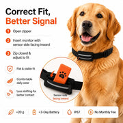 Smart Dog Health & Activity Monitoring Collar