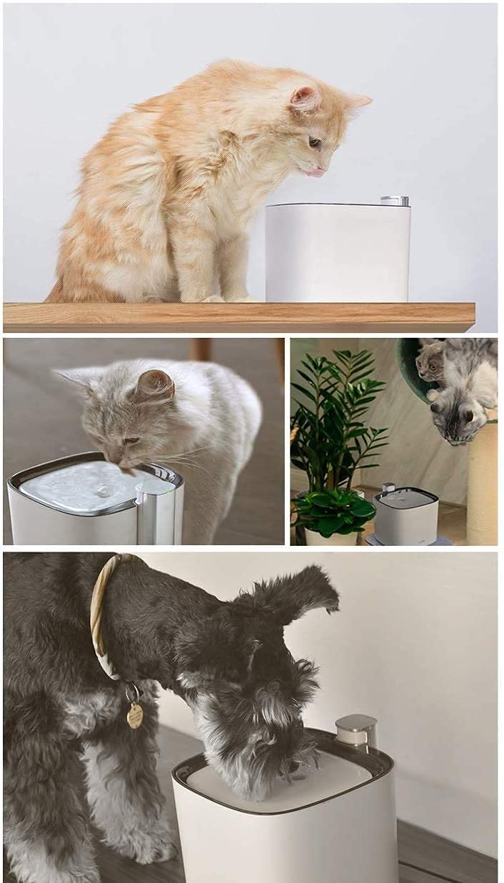3L Ultra-Quiet Pet Water Fountain