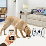 Smart Interactive Rolling Pet Toy