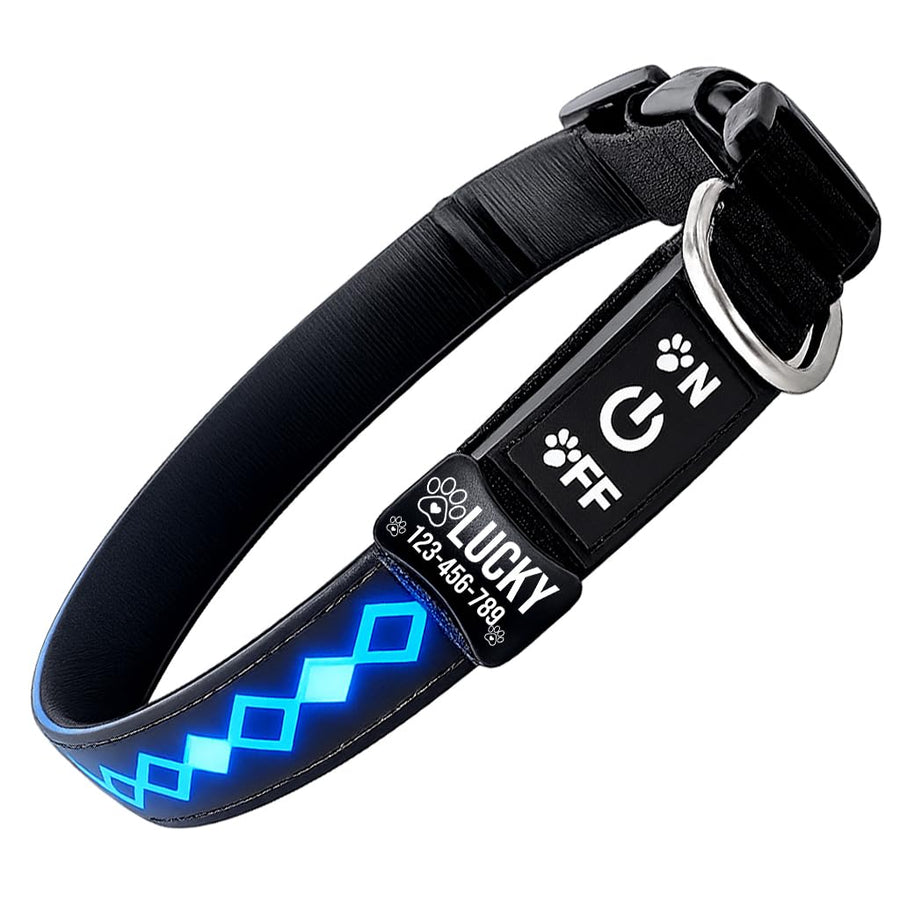 Personalized Flashing Lighting Dog Collar with Laser Engraved ID Tag