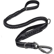 Reflective Shock-Absorbing Dog Leash with Dual Handles