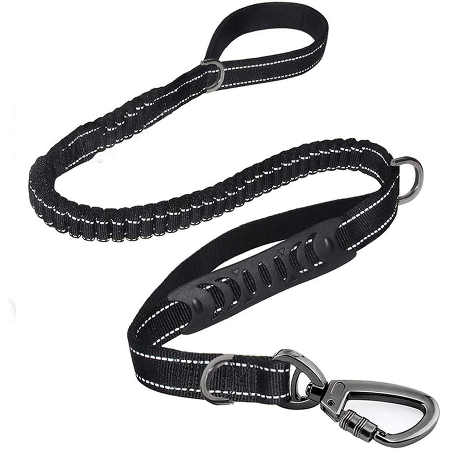 Reflective Shock-Absorbing Dog Leash with Dual Handles