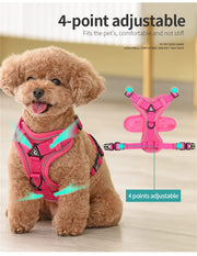 Adjustable Breathable Dog Harness & Leash Set