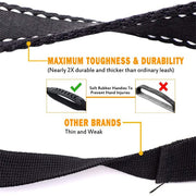 Reflective Shock-Absorbing Dog Leash with Dual Handles
