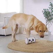 Smart Interactive Rolling Pet Toy
