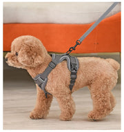 Adjustable Breathable Dog Harness & Leash Set
