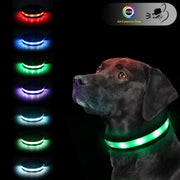 6FT LED Dog Leash & Collar Set
