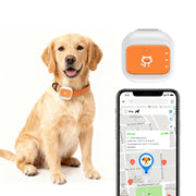4G GPS Pet Tracker with Geofence & SOS Alert