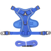 Adjustable Breathable Dog Harness & Leash Set