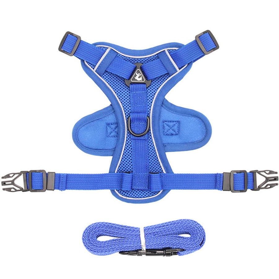 Adjustable Breathable Dog Harness & Leash Set