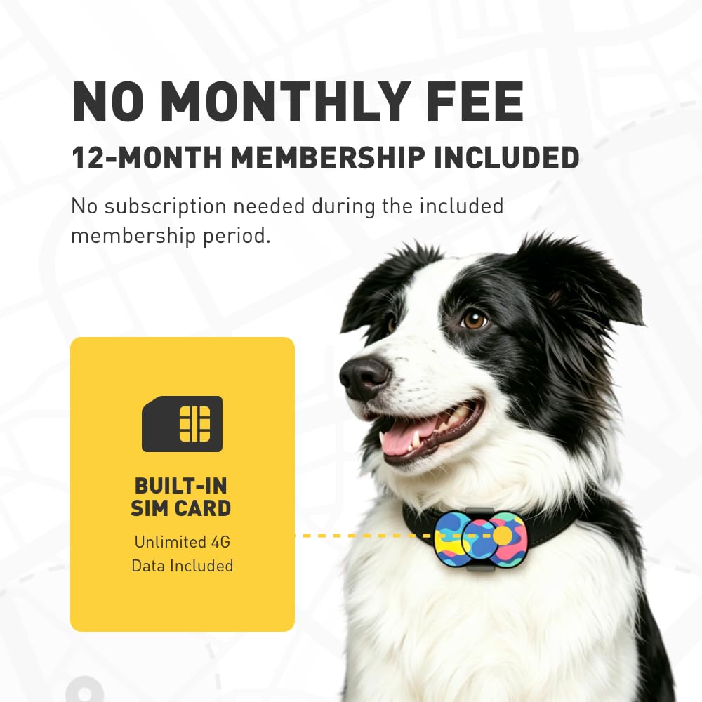 4G GPS Dog Tracker, No Monthly Fee, Virtual Fence, Waterproof, 21D Battery
