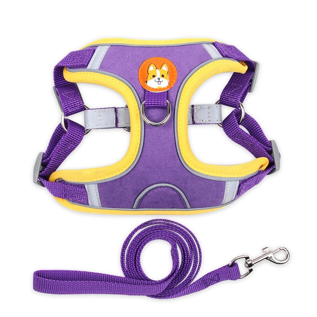Reflective Breathable Dog Harness & Leash Set