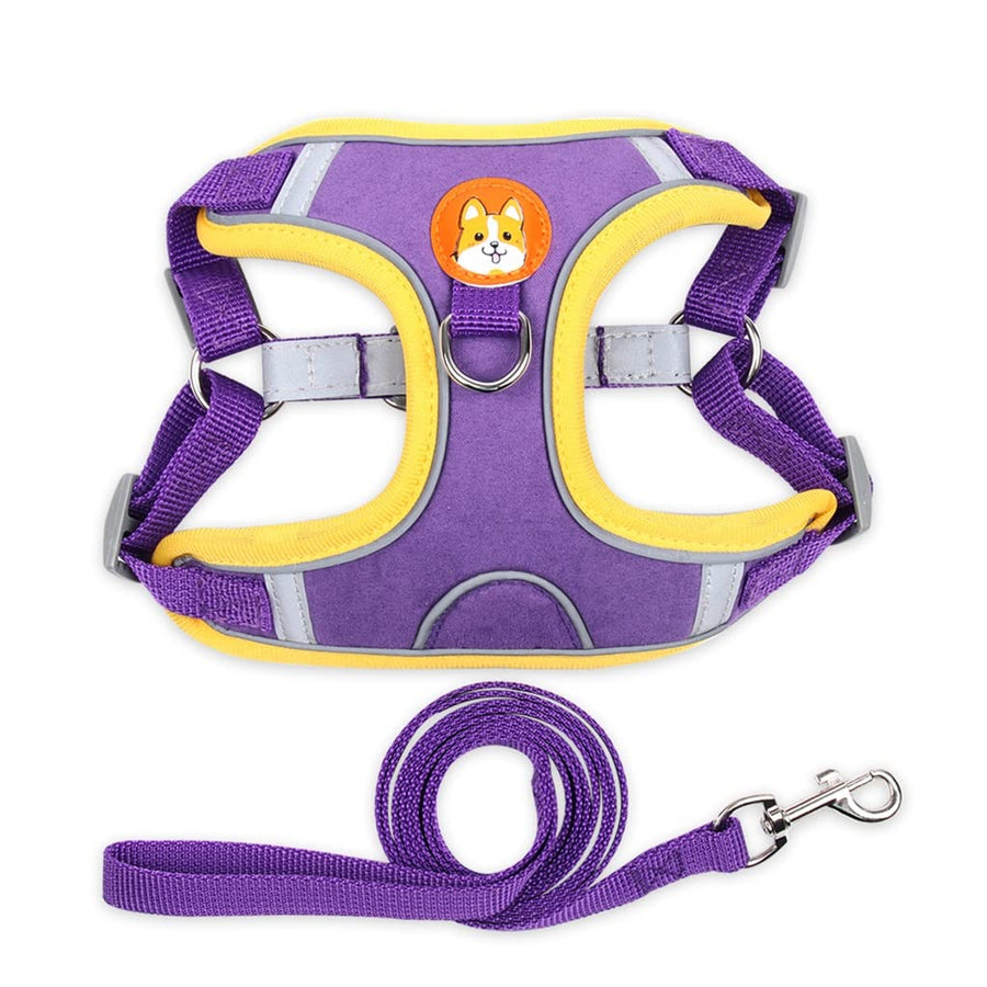 Reflective Breathable Dog Harness & Leash Set