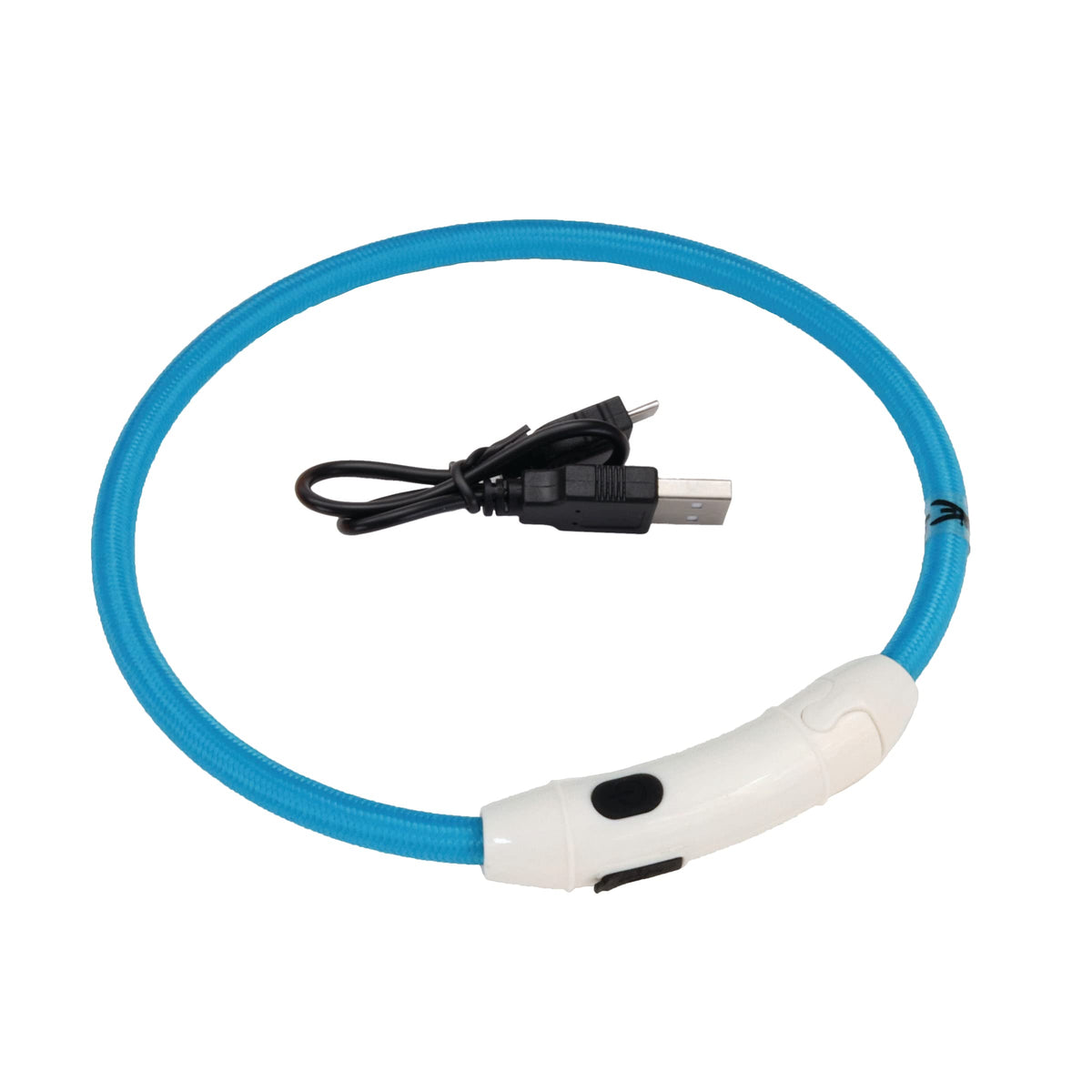 LED Collars & Safety Lights