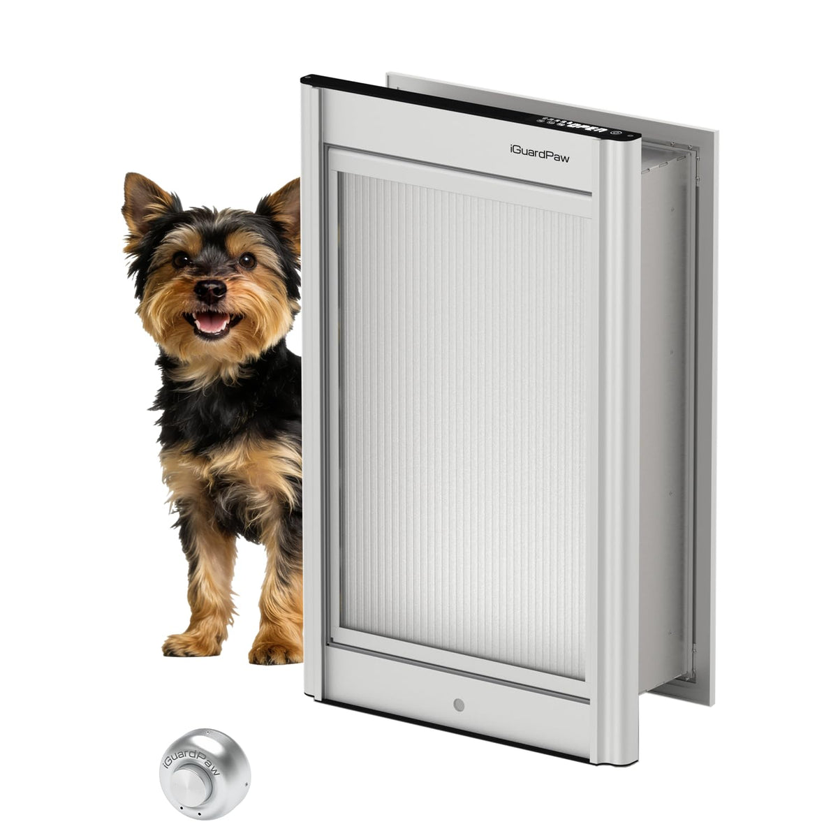 iGuardPaw elctronic Dog Door