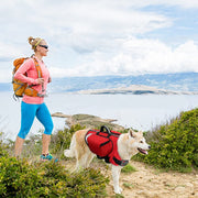 Outdoor Dog Backpack Harness with Saddle Bags