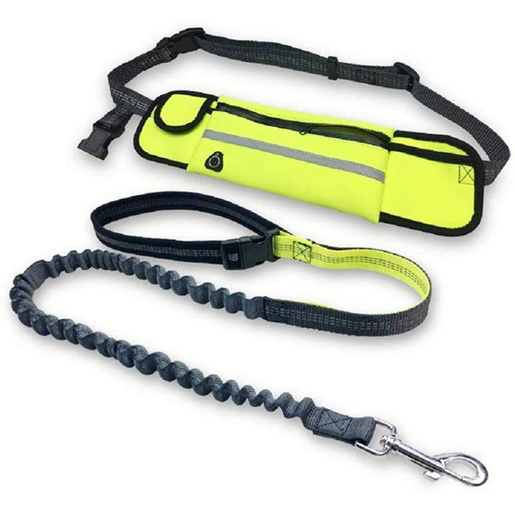 Pet Safety Leashes