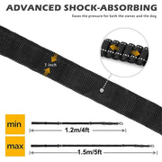 Reflective Shock-Absorbing Dog Leash with Dual Handles