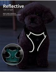 Adjustable Breathable Dog Harness & Leash Set
