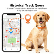 4G GPS Pet Tracker with Geofence & SOS Alert