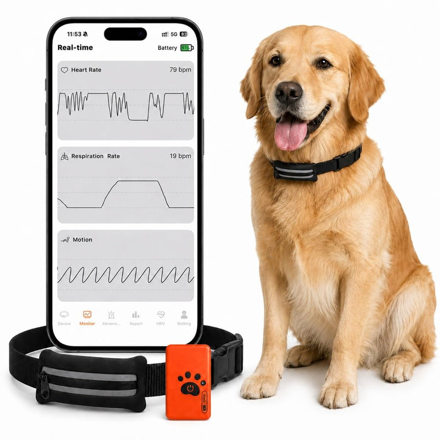 Smart Dog Health & Activity Monitoring Collar