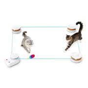 Automatic Cat Exercise Treadmill