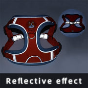 Reflective Breathable Dog Harness & Leash Set