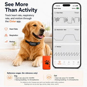 Smart Dog Health & Activity Monitoring Collar