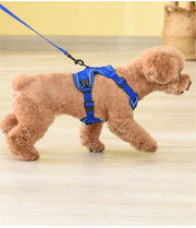 Adjustable Breathable Dog Harness & Leash Set