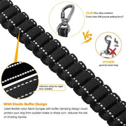 Reflective Shock-Absorbing Dog Leash with Dual Handles