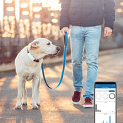 4G GPS Pet Location & Activity Tracker