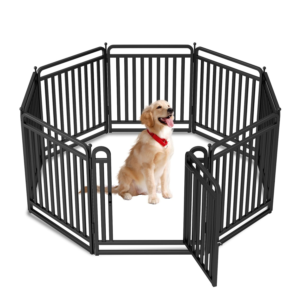 Pet Safety Fences & Boundaries