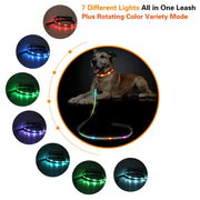 6FT LED Dog Leash & Collar Set