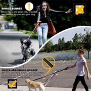 Reflective Shock-Absorbing Dog Leash with Dual Handles