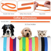 Digital Small Pet Scale with Measuring Tape