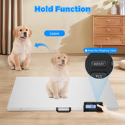 1100 lb Digital Livestock & Pet Scale