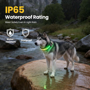 UNISE Customizable LED Dog Collar, RGB Color Changing Light Up Dog Collar