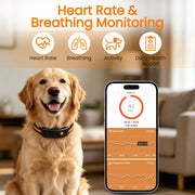 Smart Dog Health & Activity Tracking Collar