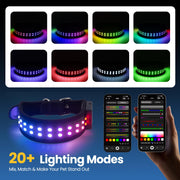 UNISE Customizable LED Dog Collar, RGB Color Changing Light Up Dog Collar