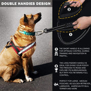 Reflective Shock-Absorbing Dog Leash with Dual Handles